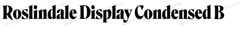 Roslindale Display Condensed Bold字体转换